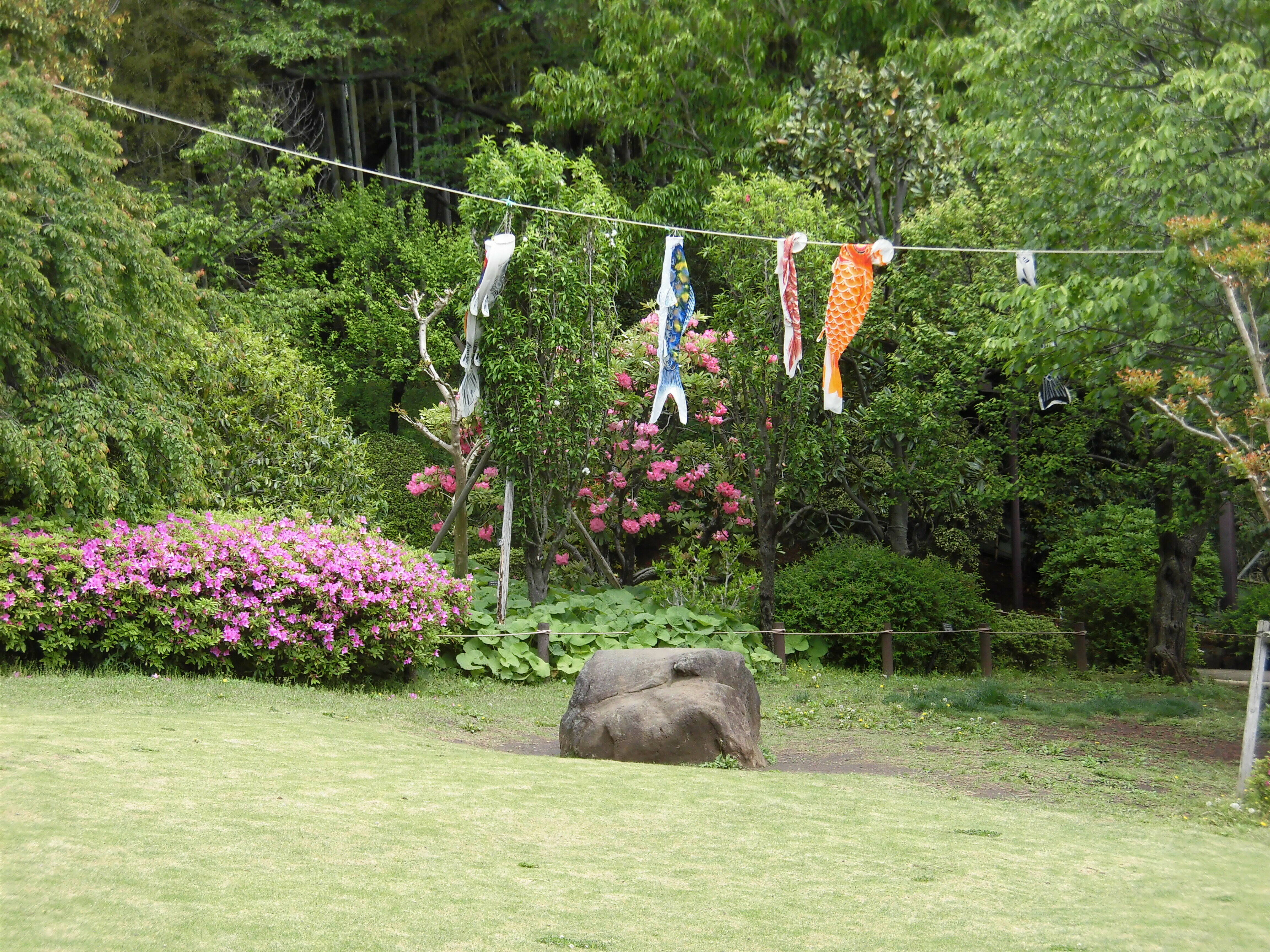 【馬場花木園】令和元年5月1日の風景の写真