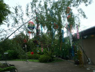 地域のみなさんと七夕飾りを作りました。