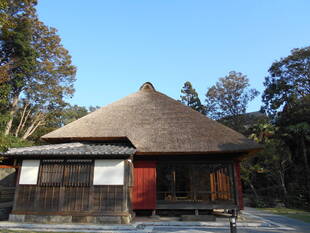 いよいよ　オープンです！