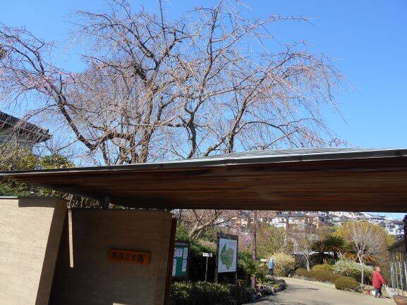 次々との写真
