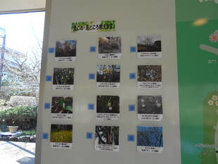 インフォメーションボードが活躍しています。