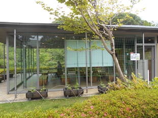 ゴーヤの日よけ