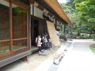 打ち水・梅シロップのふるまい