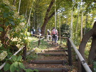 8月園内ガイドが行われました。