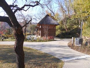 木漏れ日がいい感じです。