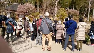 園内ガイドが開催されました。