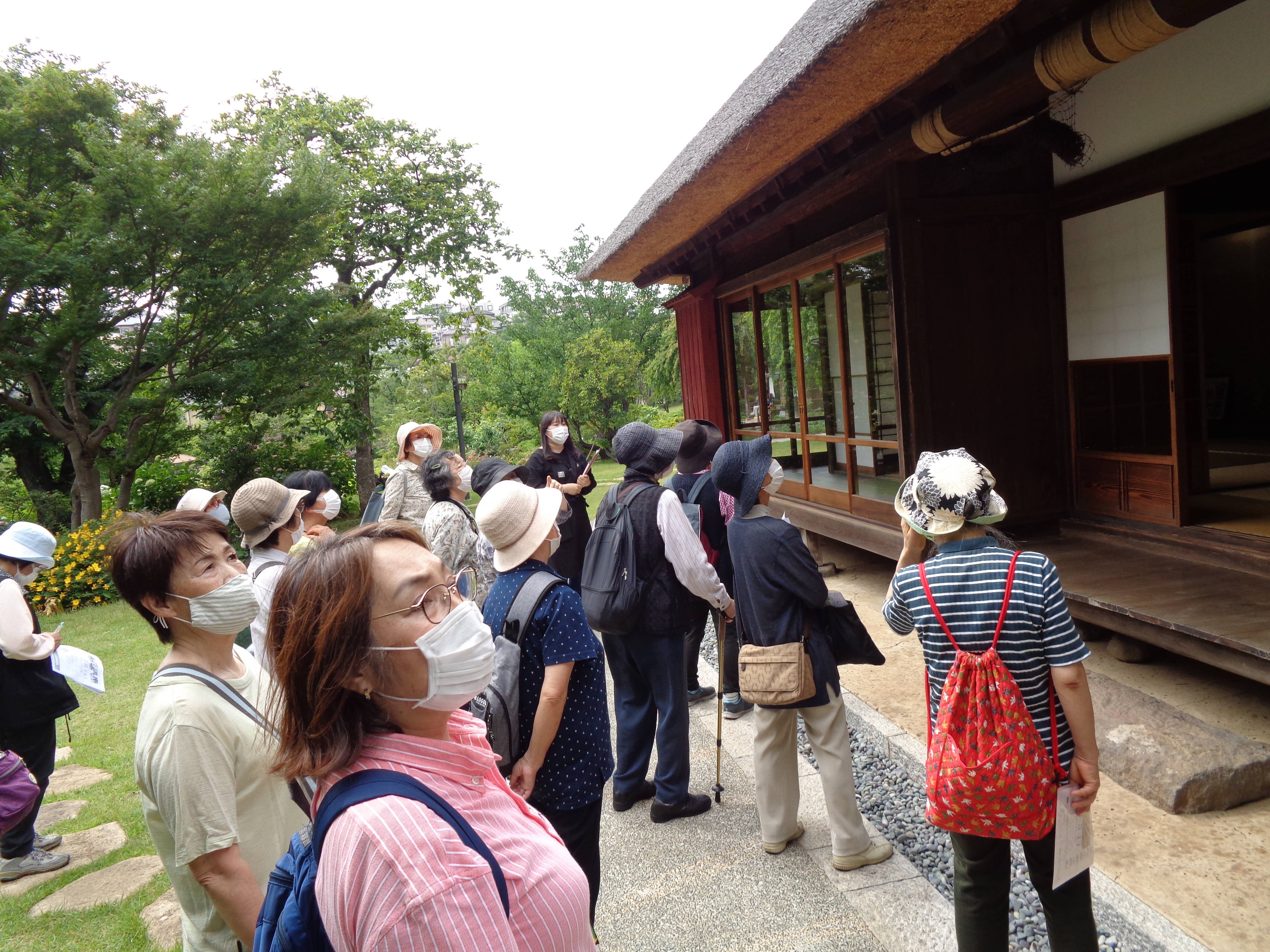 5月の園内ガイドを開催しました。の写真