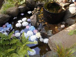 アジサイのアート