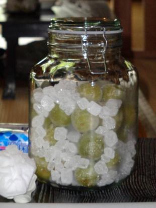 梅シロップつくりをしました。