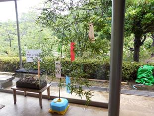 七夕飾りで願いごとがかないますように・・・・