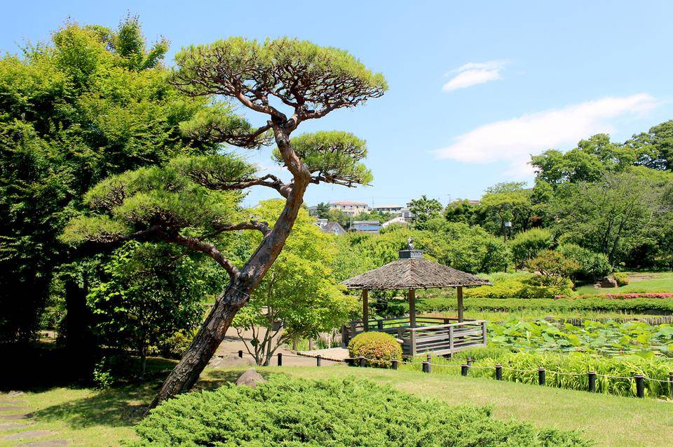 馬場花木園トップ画像2
