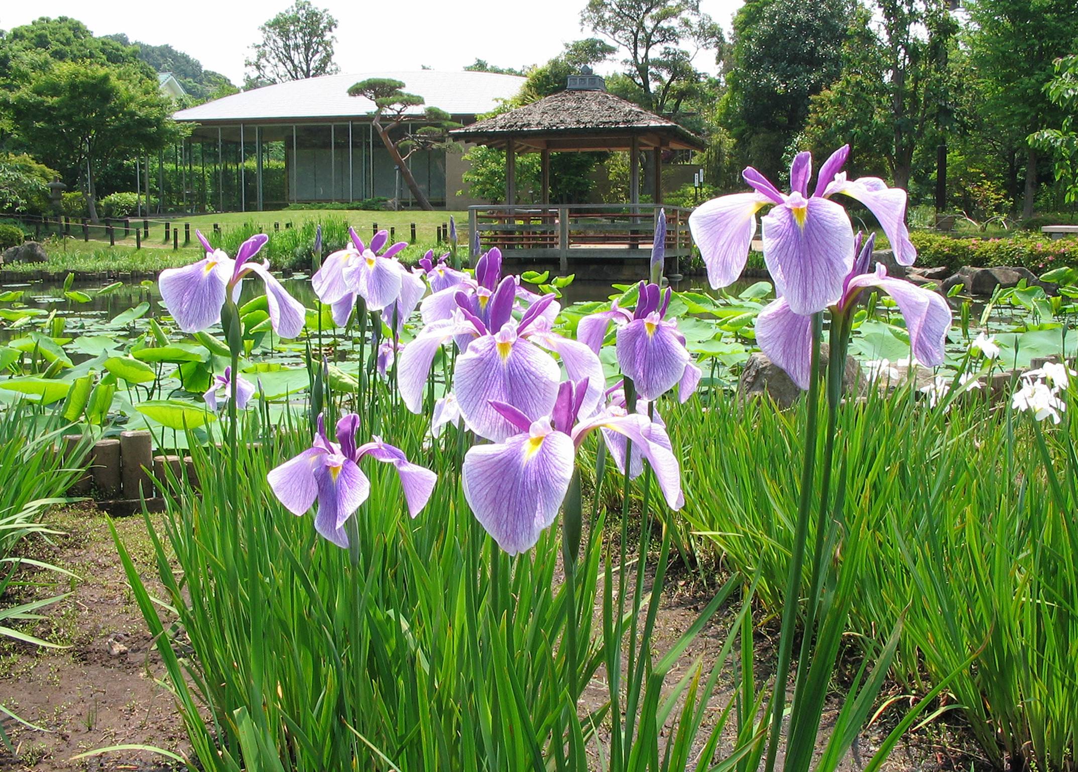 馬場花木園トップ画像1