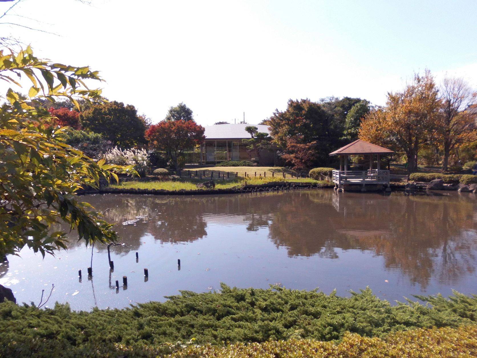 秋の風景の写真
