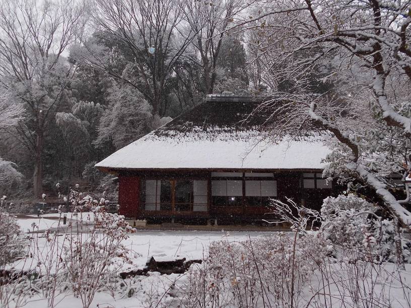 雪景色ですの写真