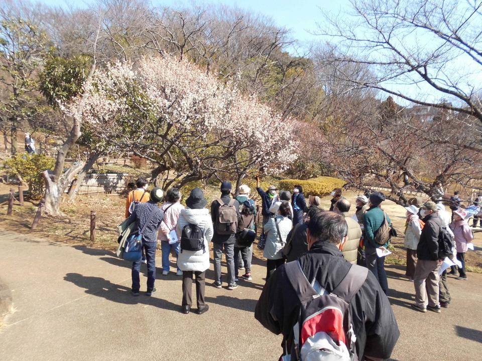 園内ガイドが開催されました。の写真