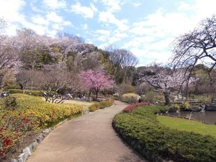 春爛漫の花木園！