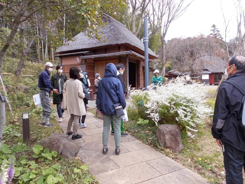 3月の園内ガイドが開催されました!の写真