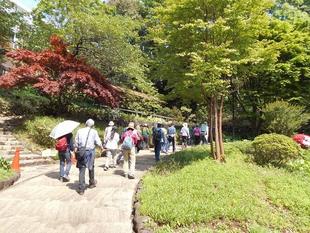 園内ガイドが開催されました