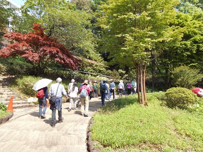 園内ガイドが開催されましたの写真