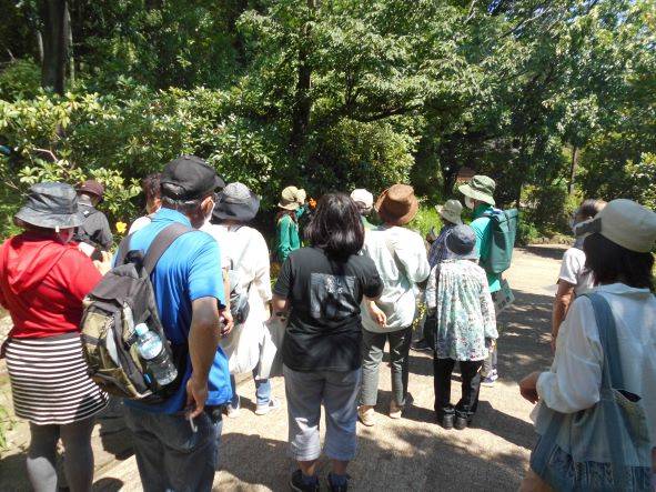 園内ガイドが開催されました。の写真