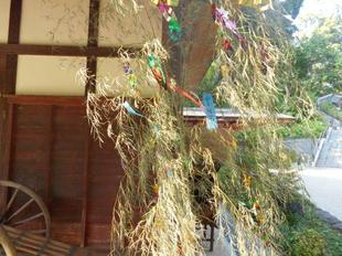 七夕飾りを始めました！