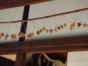 干し柿が古民家に・・・