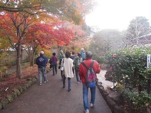 11月の園内ガイドを行いました。