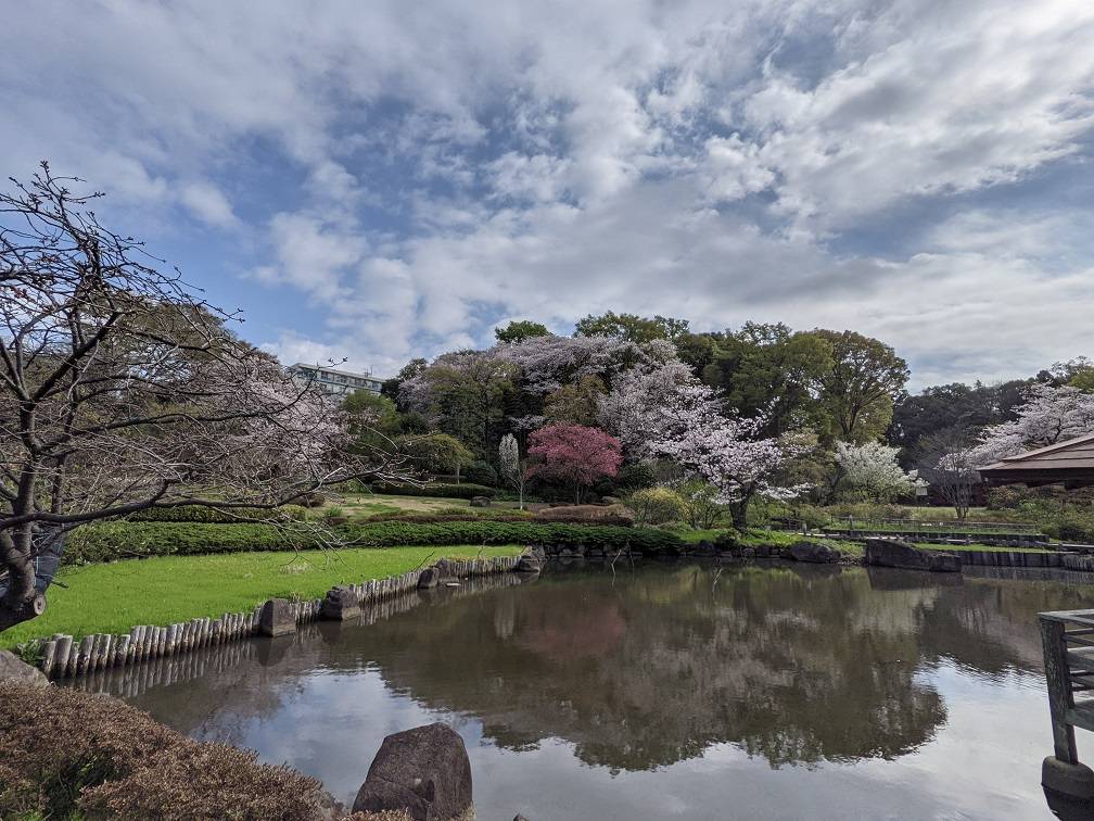 春の園内の風景ですの写真