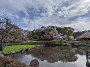春の園内の風景です