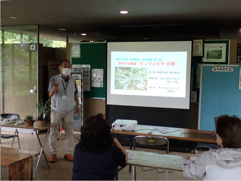 園芸講座(リュウノヒゲ)が開催されましたの写真