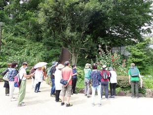 6月の園内ガイドを開催しました