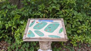 見頃の植物について