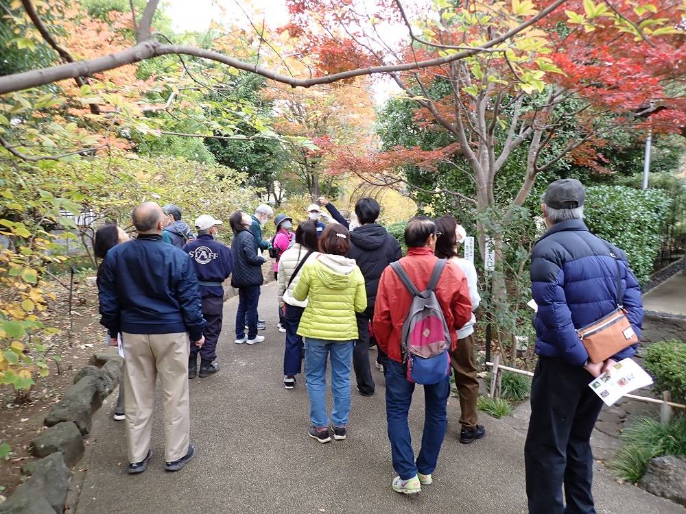 11月の園内ガイドを開催しましたの写真