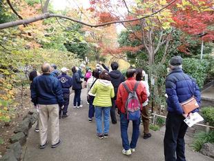 11月の園内ガイドを開催しました