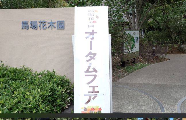 オータムフェアの開催の写真
