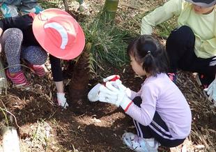 親子たけのこ掘り体験