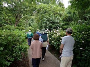 5月の園内ガイドを開催しました