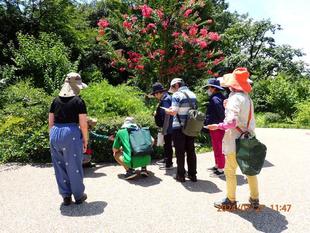 7月の園内ガイドを開催しました