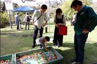 オータムフェアの開催