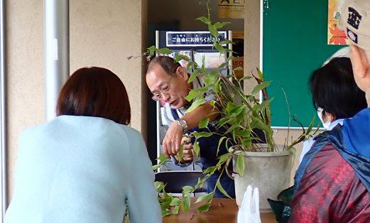 園芸講座(ホトトギスの育て方・楽しみ方)の写真