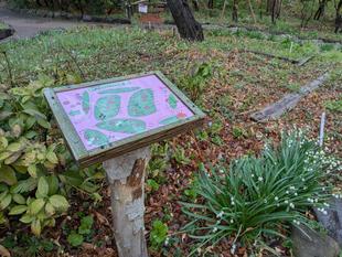 お花のマップを設置しています