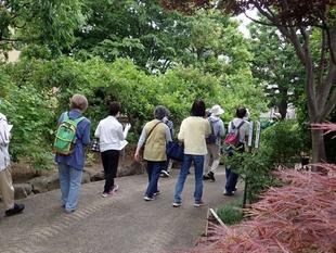 5月の園内ガイドを行いました