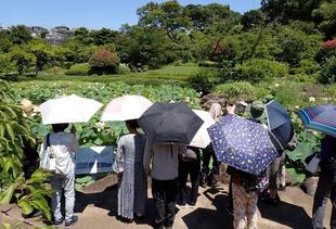 ７月の園内ガイドを行いました