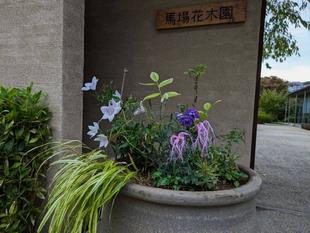 GREEN×EXPO2027の応援をしています