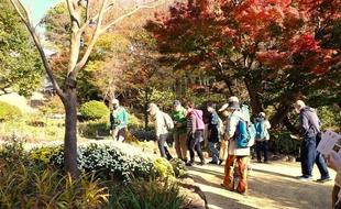 11月の園内ガイドを開催しました