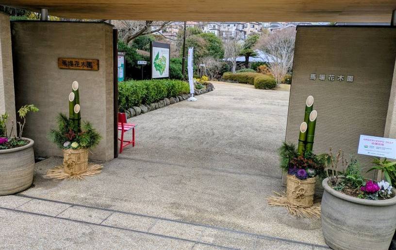 冬の準備をしていますの写真