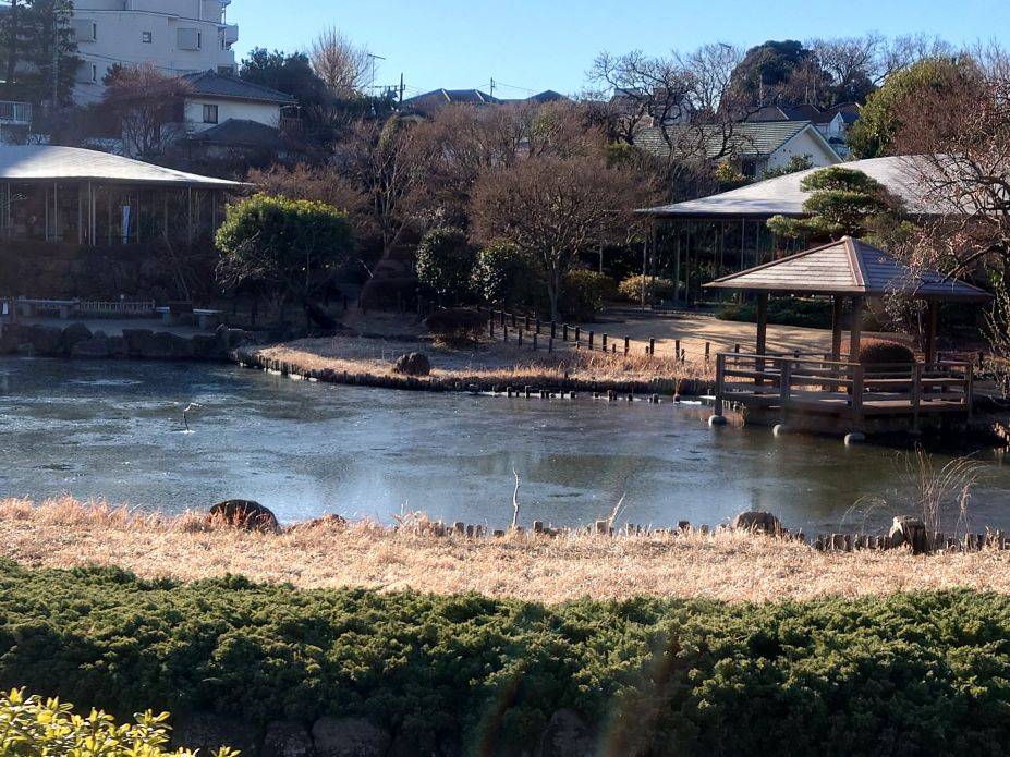 池が凍ることもありますの写真