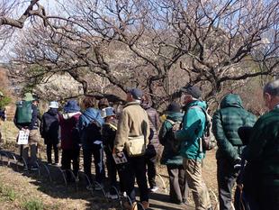1月の園内ガイドを行いました