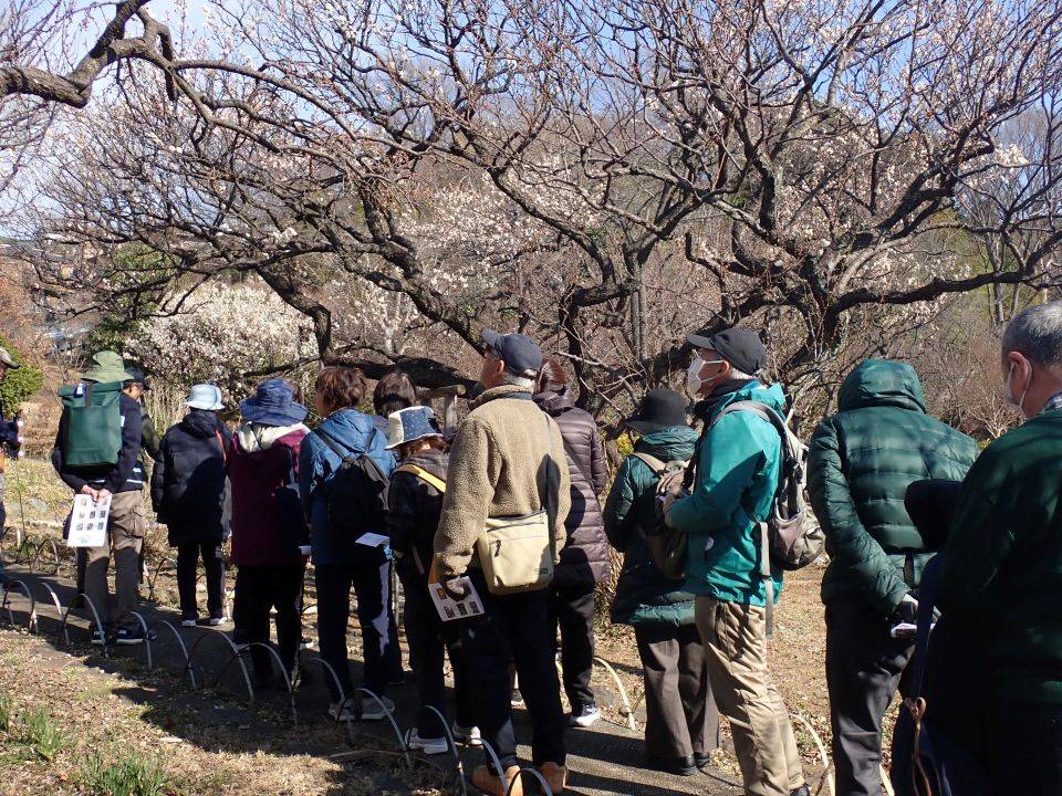 1月の園内ガイドを行いましたの写真