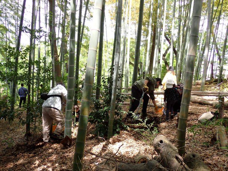 親子タケノコ掘りを行いましたの写真